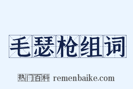 毛瑟枪组词是什么意思的图片